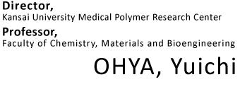 Director, Collaborative Research Center of Engineering, Medicine and Pharmacology Professor, Faculty of Chemistry, Materials and Bioengineering