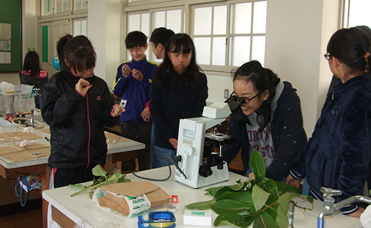 [写真] 小学校への出張講義