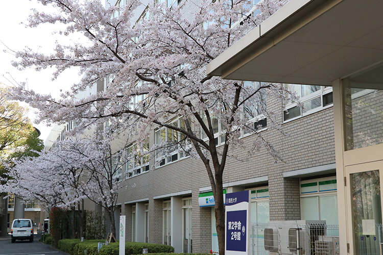 関西大学千里山キャンパス桜