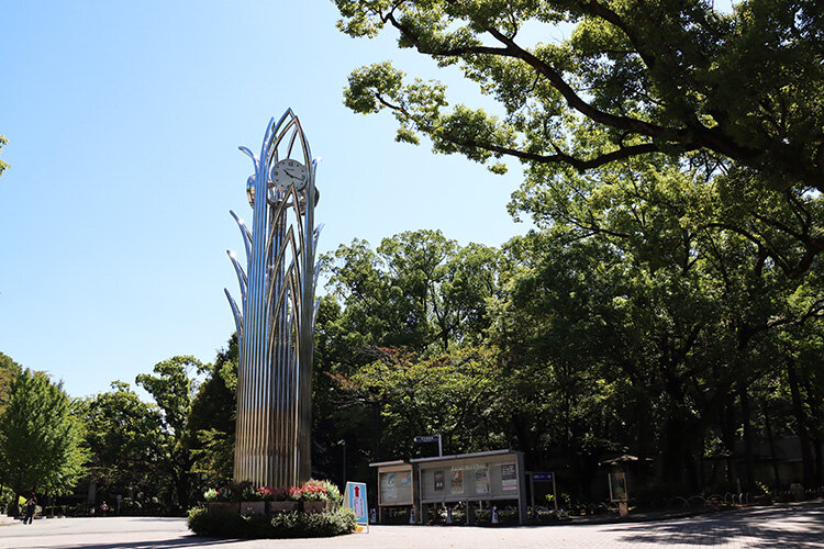 夏のキャンパス風景