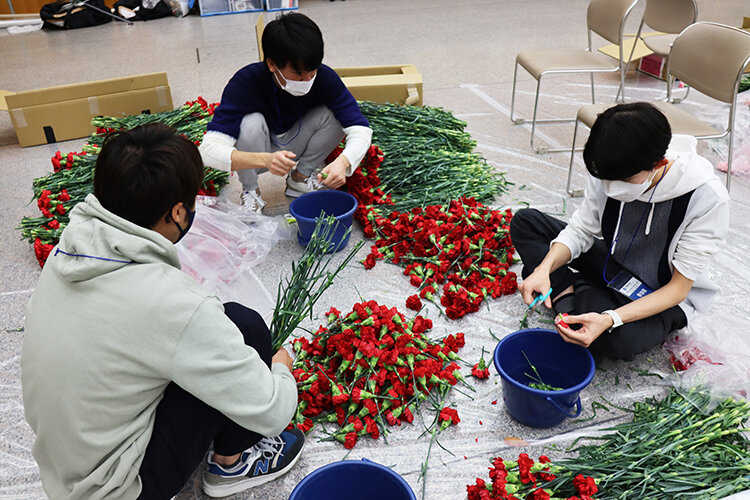 Osaka Flower Carpet 2022