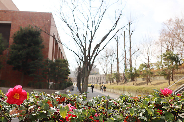  秋学期授業が再開