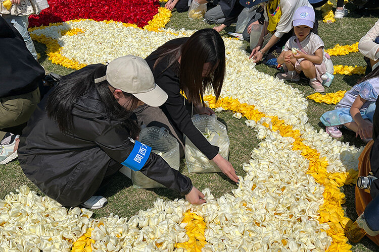 OsakaFlowerCarpet2025に本学学生が参加