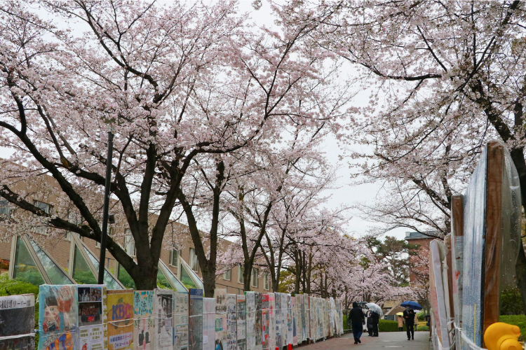 2026年度関西大学入学式