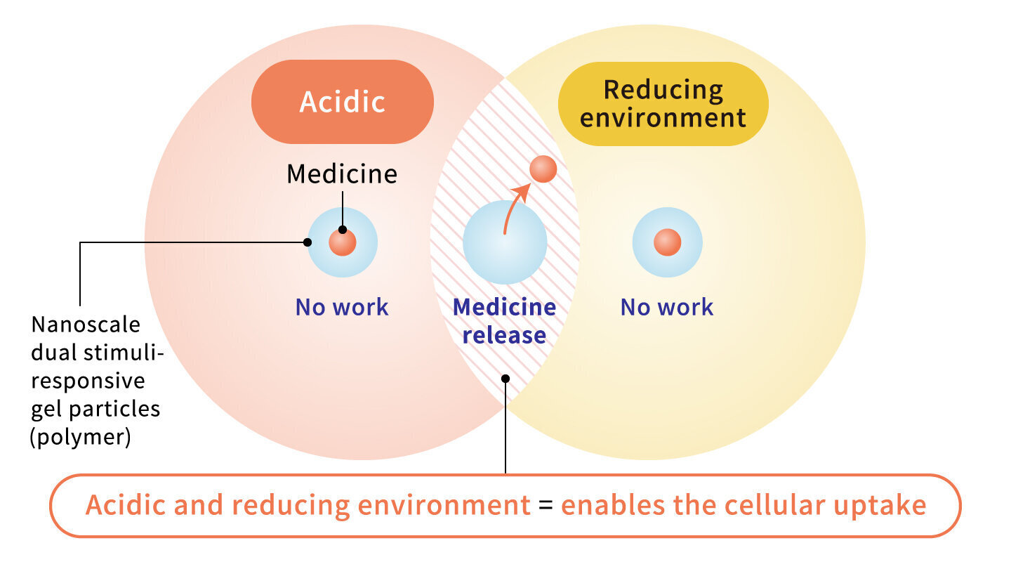 Acidic and reducing environment = enables the cellular uptake