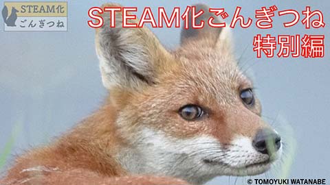 STEAM化ごんぎつね