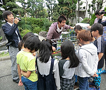 住吉・堺の歴史景観の復元