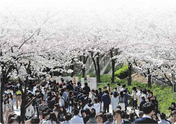 キャンパスを彩る花と緑 関大のハナシ 関西大学 Campus Guide Map