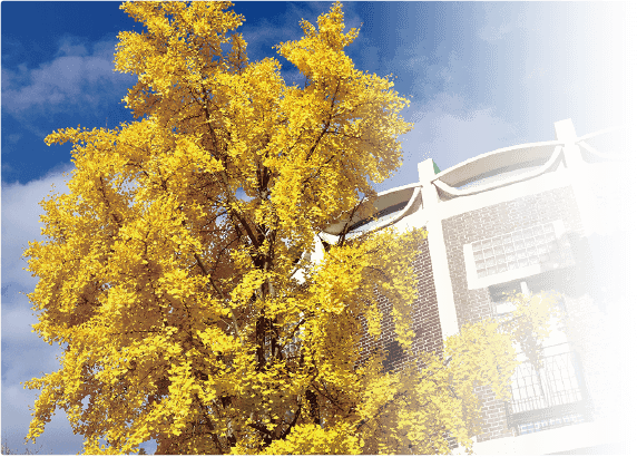 キャンパスを彩る花と緑 関大のハナシ 関西大学 Campus Guide Map
