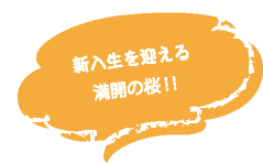 新入生を迎える 満開