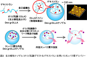 次世代医療を革新するスマートバイオマテリアルの創出｜関西大学先端