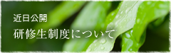 近日公開 研修生制度について