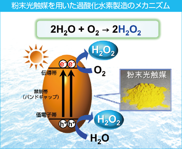 粉末光触媒を用いた過酸化水素製造のメカニズム