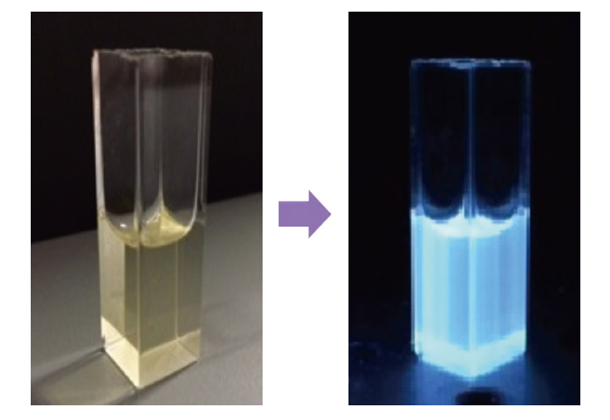 発光や触媒作用など応用上有用な性質を持つ金ナノクラスター。左は通常時、右は発光時