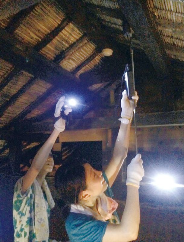 土と竹で組まれた小屋裏空間。雨水は通さず、通気を保つ