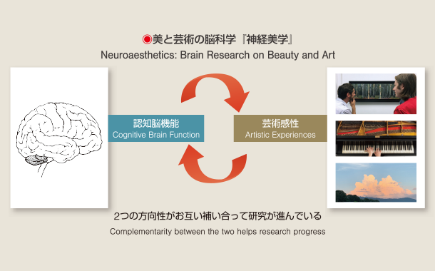 美と芸術の脳科学「神経美学」