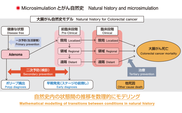 Microsimulationとがん自然史