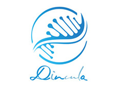株式会社Dinculaのロゴ