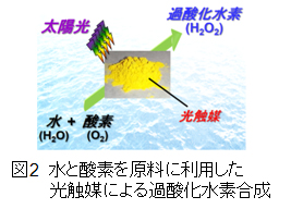 environmental19-02.jpg