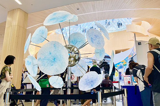 リボーンチャレンジ