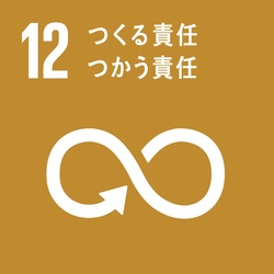 sdg_icon_12_ja.jpg