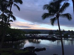 20160827_Hawaii-B01.jpg