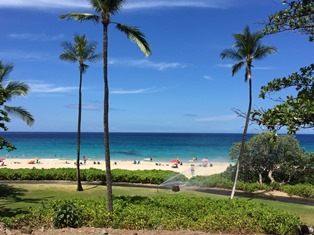 20160828_Hawaii-B02.jpg