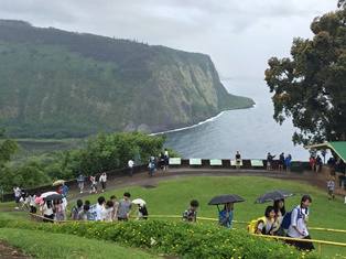 20160828_Hawaii-B07.jpg