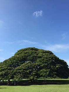 20171101_Hawaii-B05.JPG