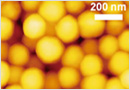 高分子ナノ粒子の原子間力顕微鏡像