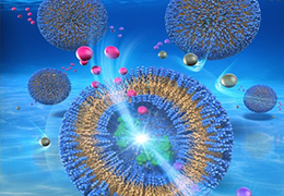 糖とペプチド類縁体が自己集合して形成するベシクル反応場