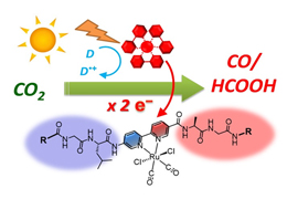 「ペプチド折り紙」で創る人工光合成