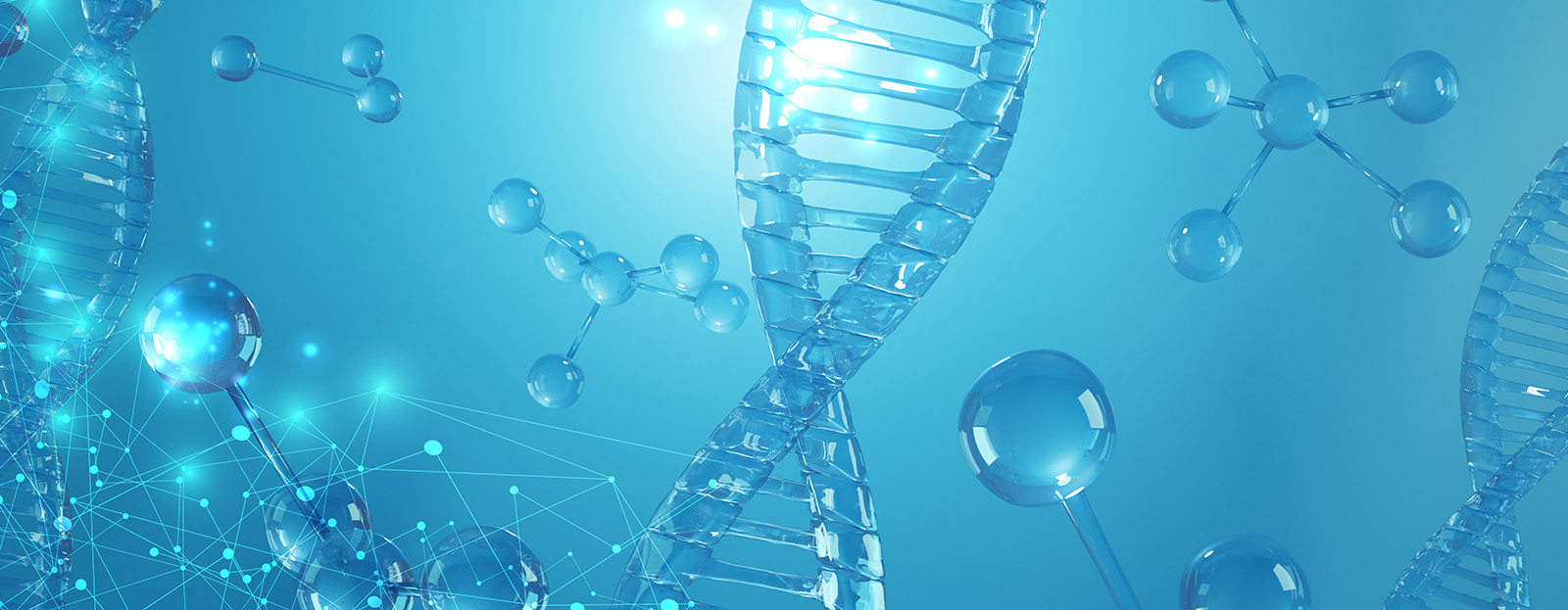 Faculty of Chemistry, Materials and Bioengineering