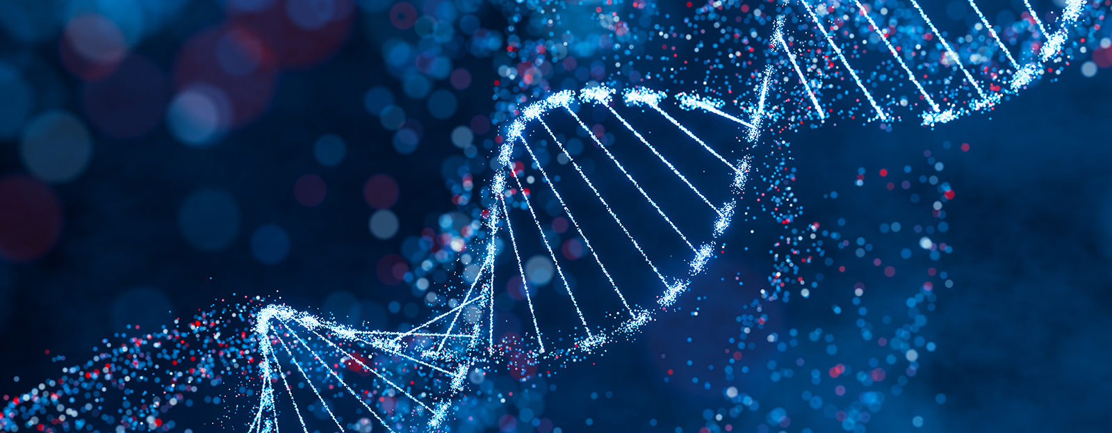 Faculty of Chemistry, Materials and Bioengineering