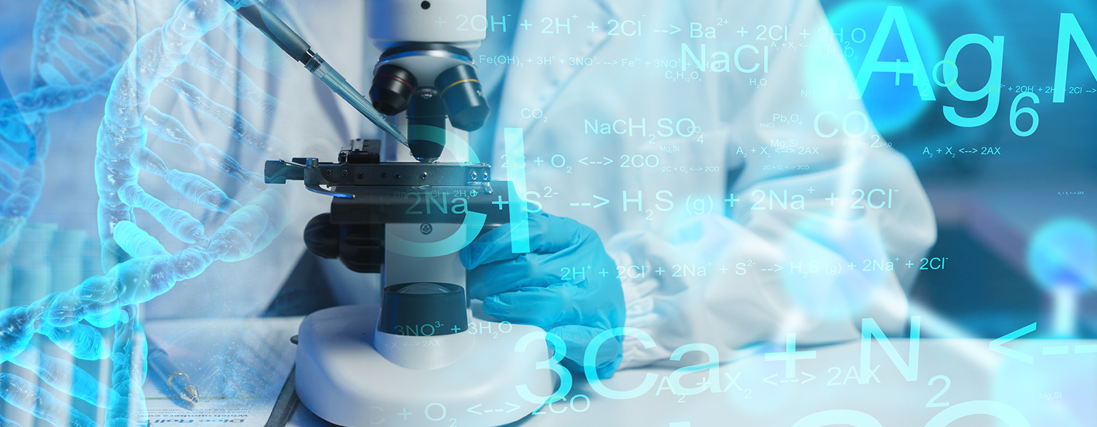 化学生命工学部