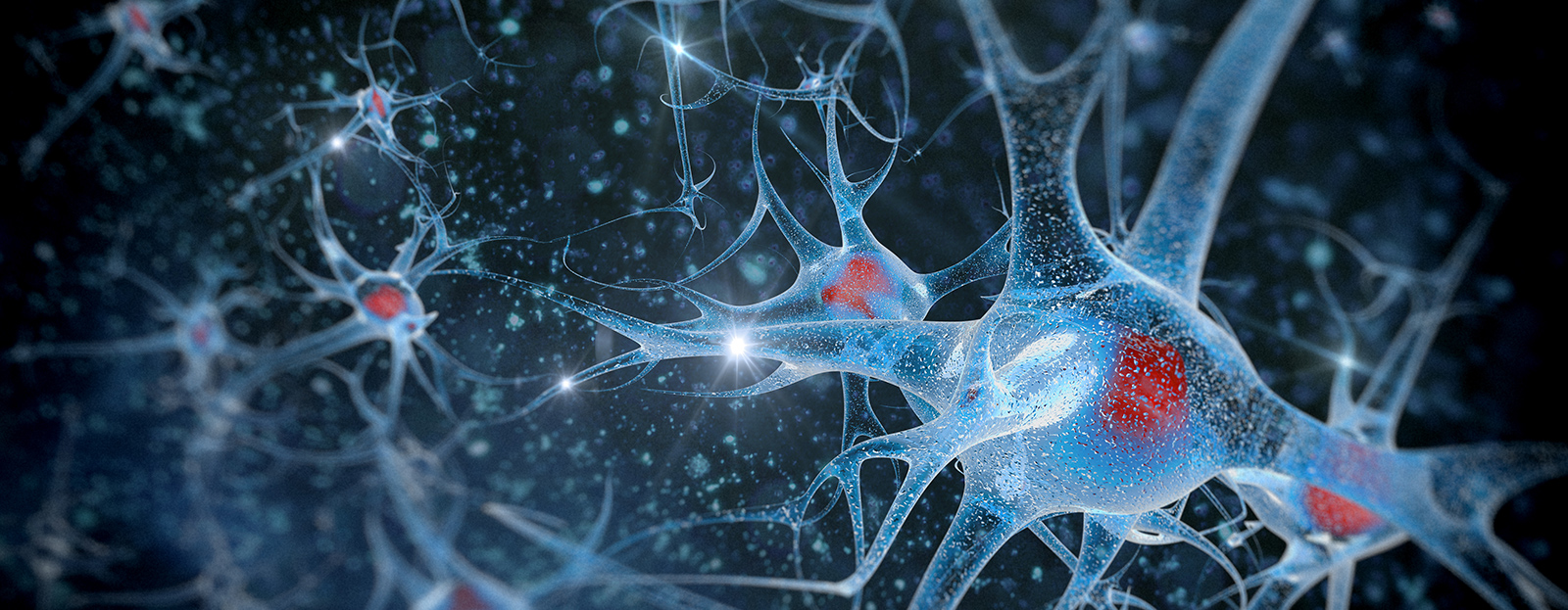 Faculty of Chemistry, Materials and Bioengineering