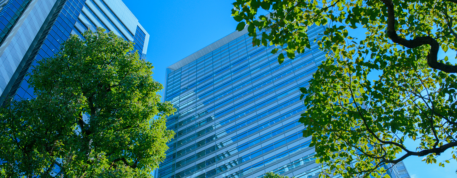 Faculty of Environmental and Urban Engineering