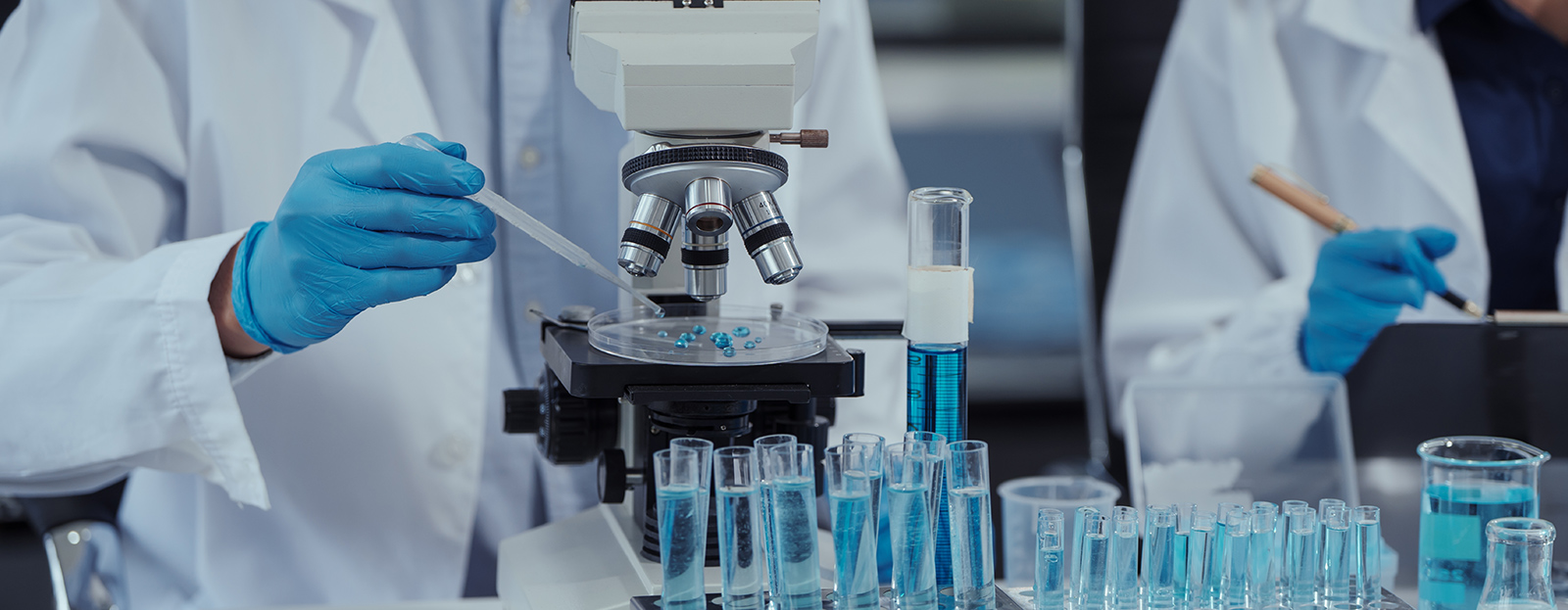 Faculty of Environmental and Urban Engineering