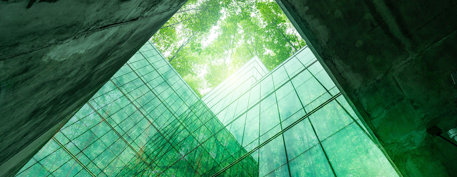 環境都市工学部