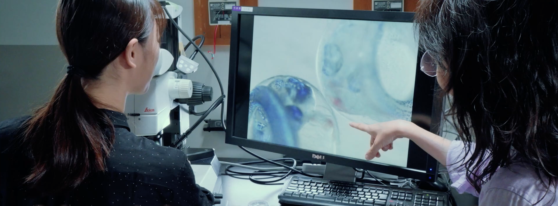 化学生命工学部