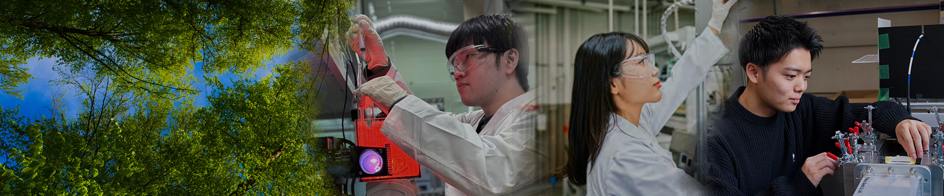 エネルギー環境・化学工学分野
