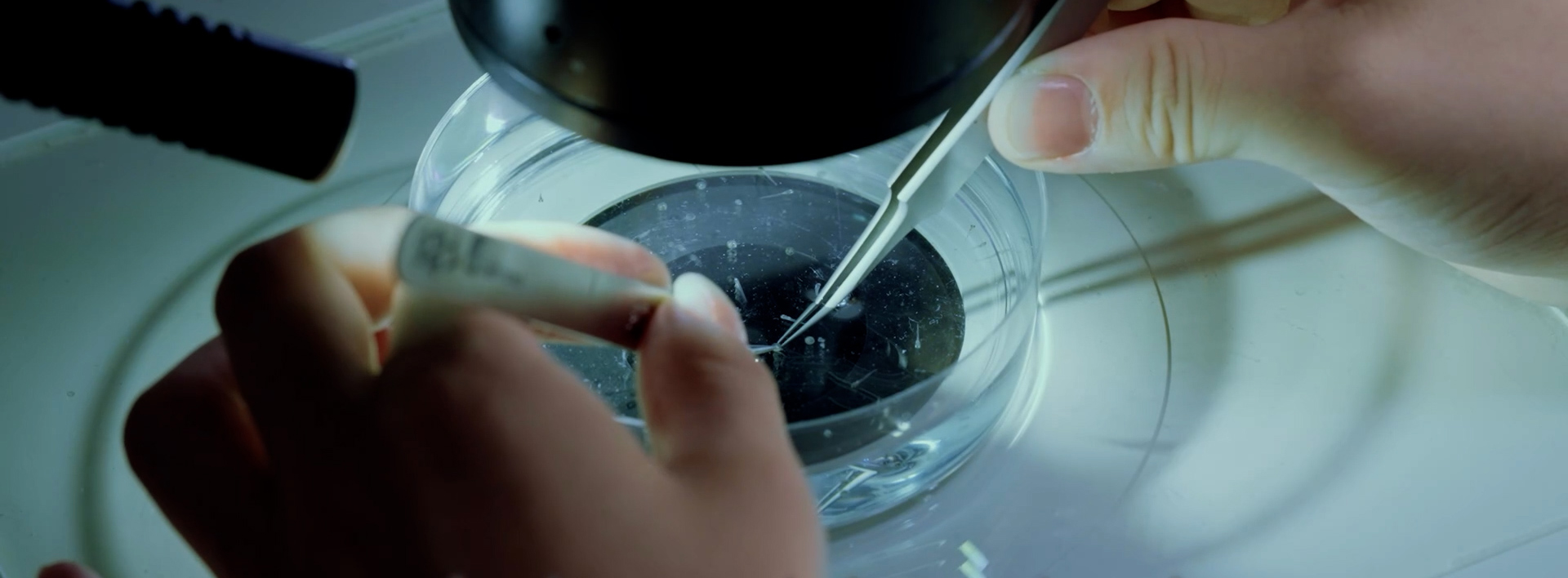 化学生命工学部