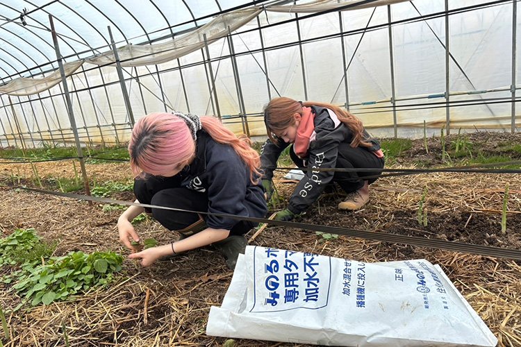 260900_kt_ikeda04.jpg
