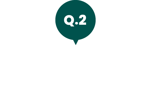 何をするの?