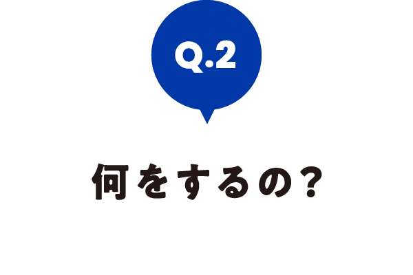 何をするの?
