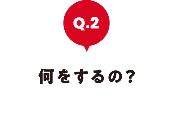 何をするの?