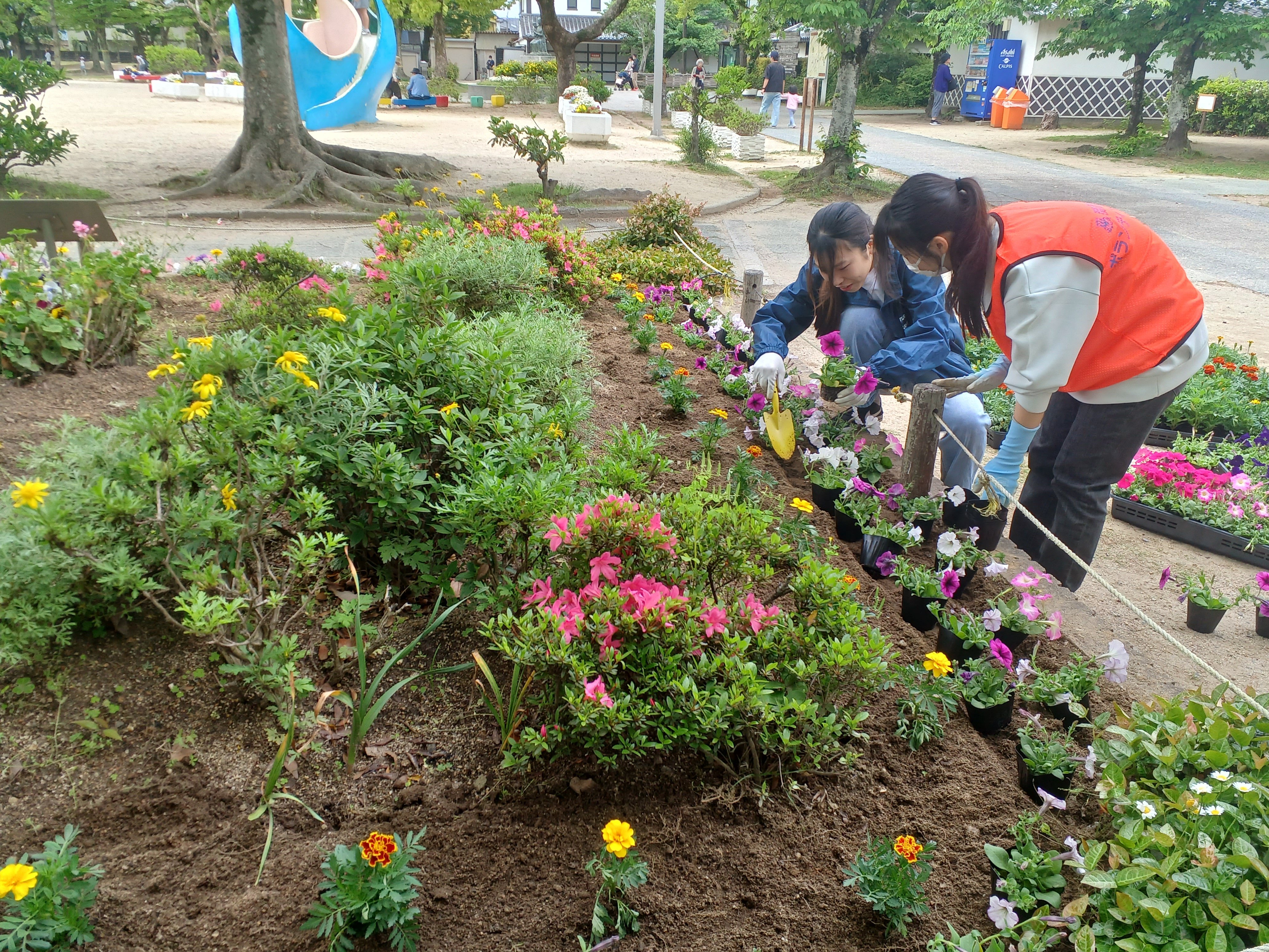 0511高槻景観美化 (1).jpg