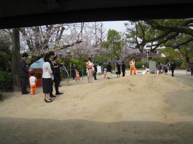 さくらと入園式.JPG