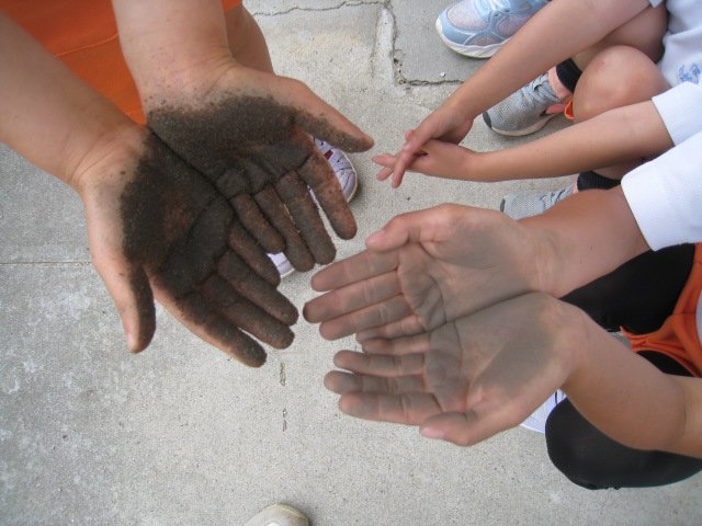 IMG_6557.JPG