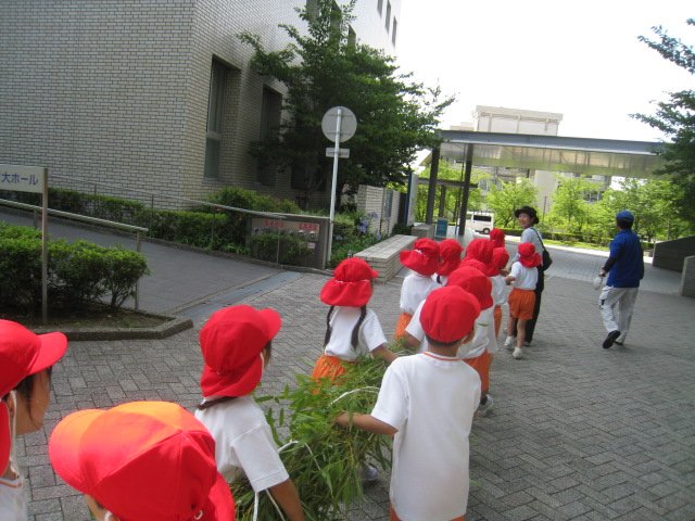 IMG_6621.JPG